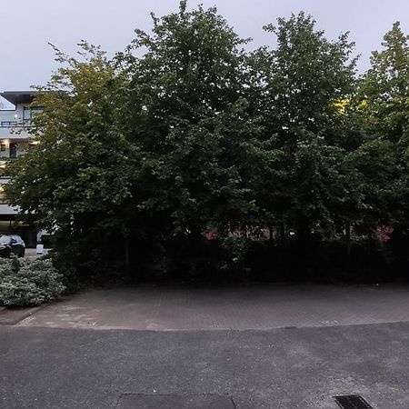 Apartment In The Heart Of Wexford Town Exteriör bild